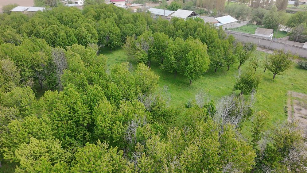 Продаётся уютная дача с большим земельным участком