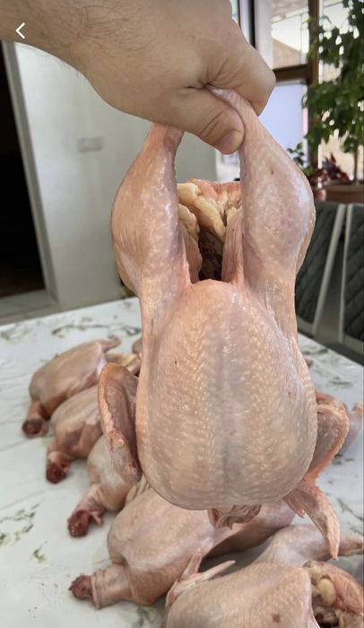 ОПТОМ мясо курицы бройлера