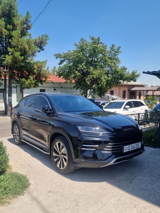 Byd champion 150tali