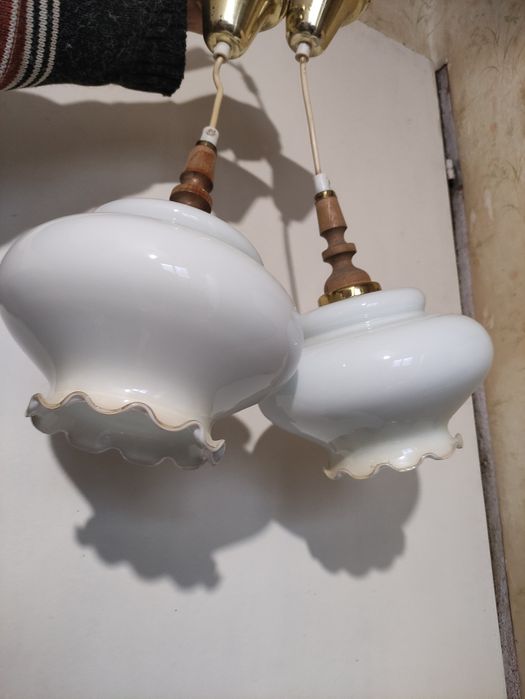 Полилей - 4 вида