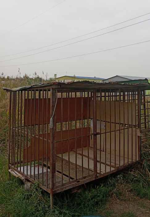 Вольер для собак