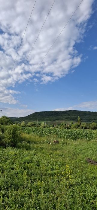Teren de vanzare,intravilan,Cluj