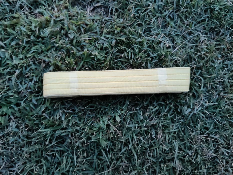 Жълт колан по-таекуондо