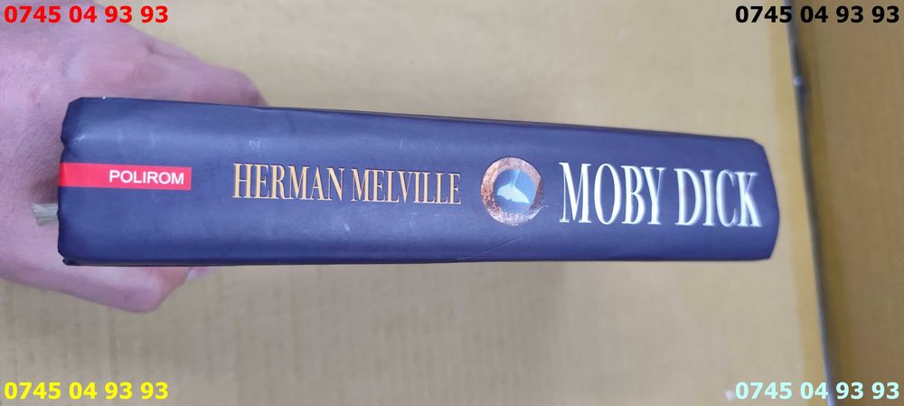 carte carti MOBY DICK herman melville cartonata