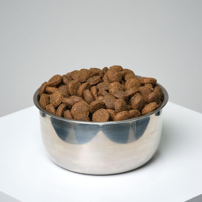 Crochete Essential 12kg Câine Adult - 12 - produs resigilat Decathlon