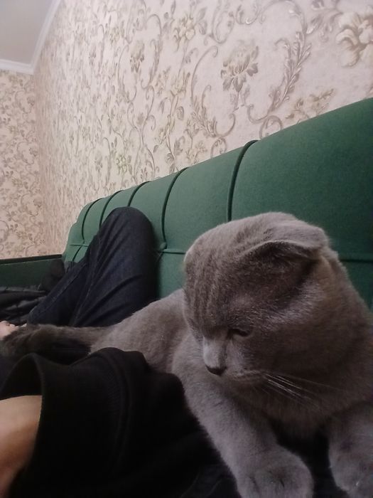 Активно ишем невесту для связки