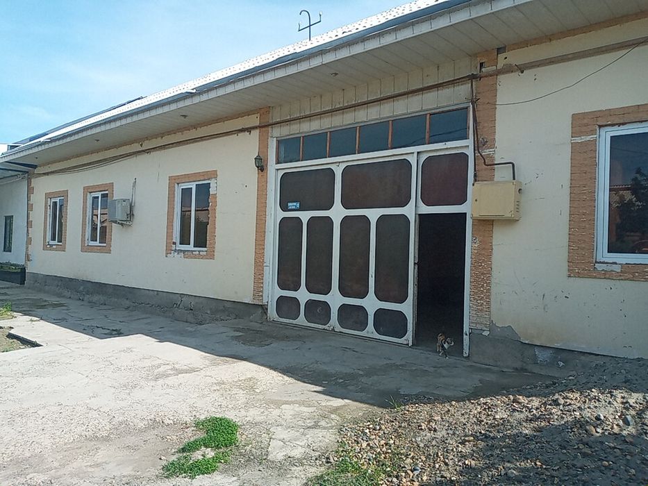 Кармана туманида 10 сутихли ховли