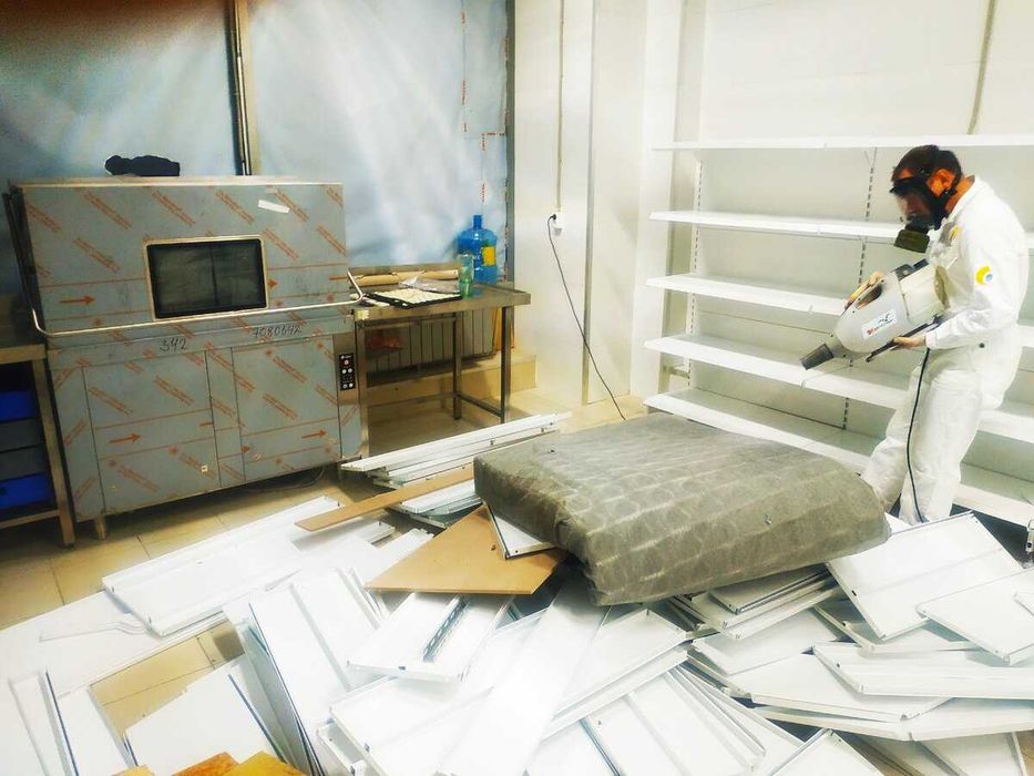 Дезинфекция Dezinfeksiya Уничтожение тараканов клопов tarakan klopa