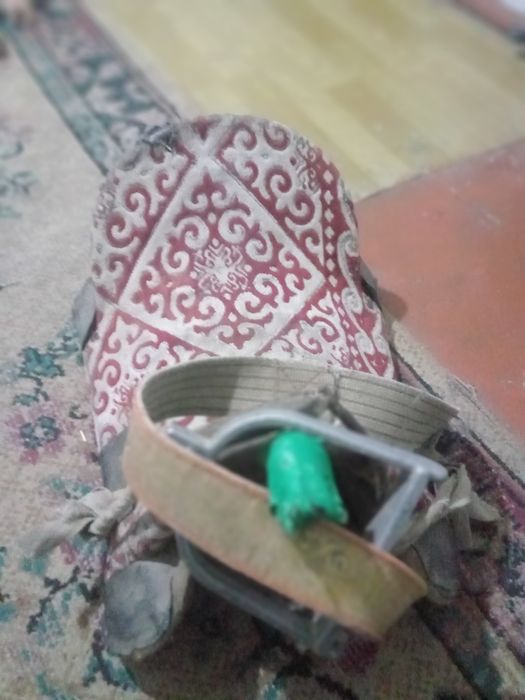 Ер-тоқым сатам асау ер