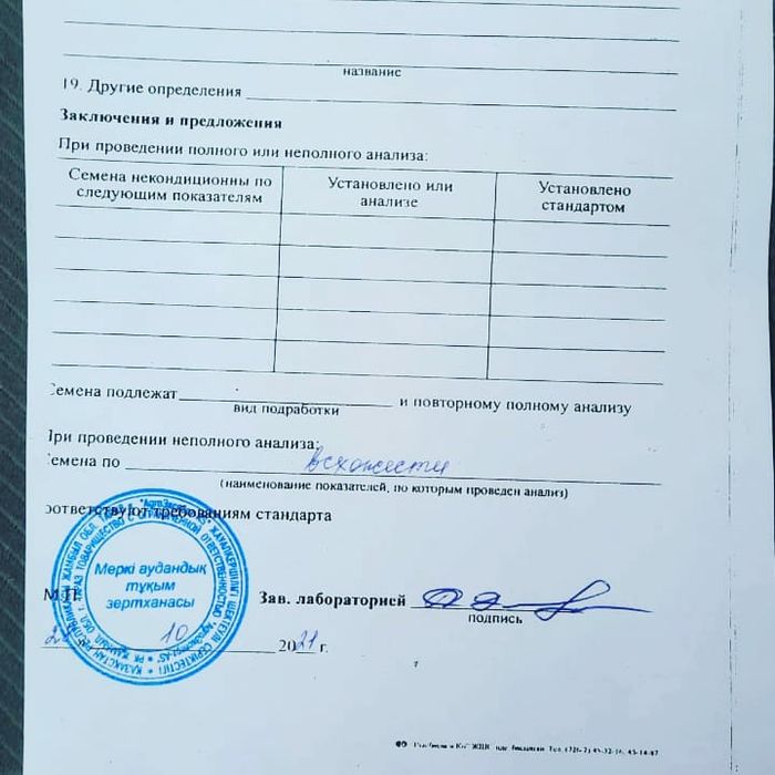 Семена люцерна. Жонышка тукымы