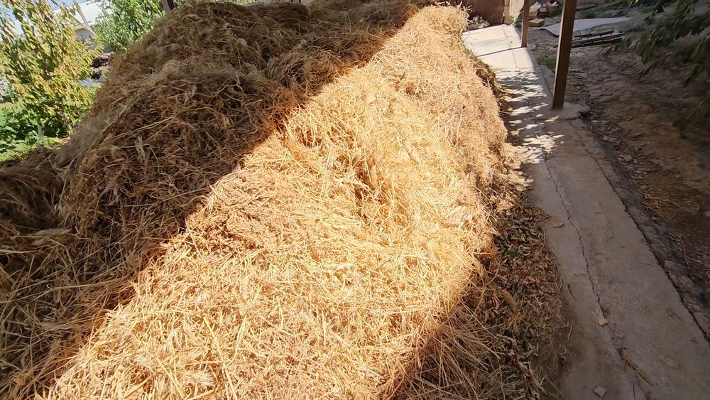 Шөп бар келісеміз