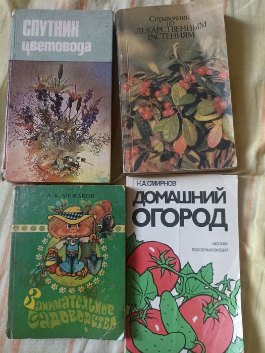Цветы книга, кактус Юг