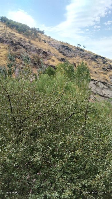 Продам зону отдыха , 5 га, Бостанлыкский район, Каранкуль.