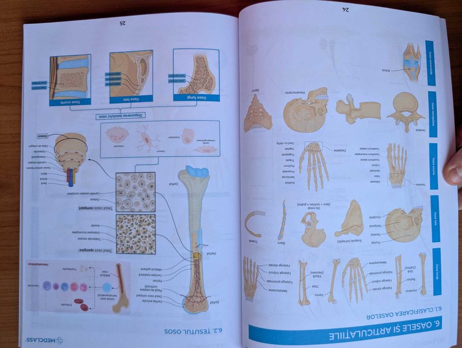 Vând Atlas de Anatomie MEDCLASS - CORINT