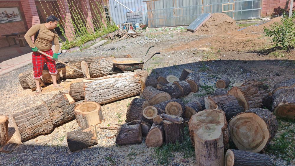 Ағаш шөркелер кесілген сатылады