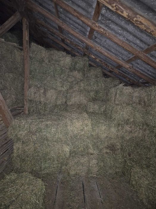 Vand baloti lucerna si fan