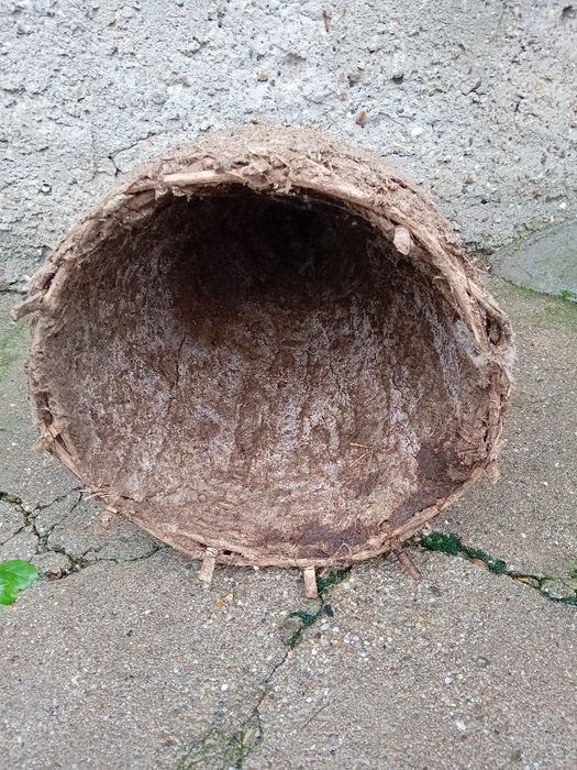 Примамка за пчели