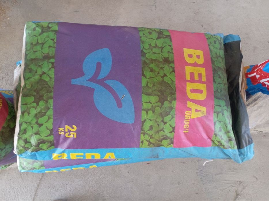 Beda urug‘i sotiladi