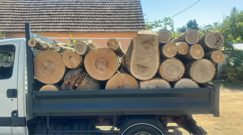 Vand lemn de foc