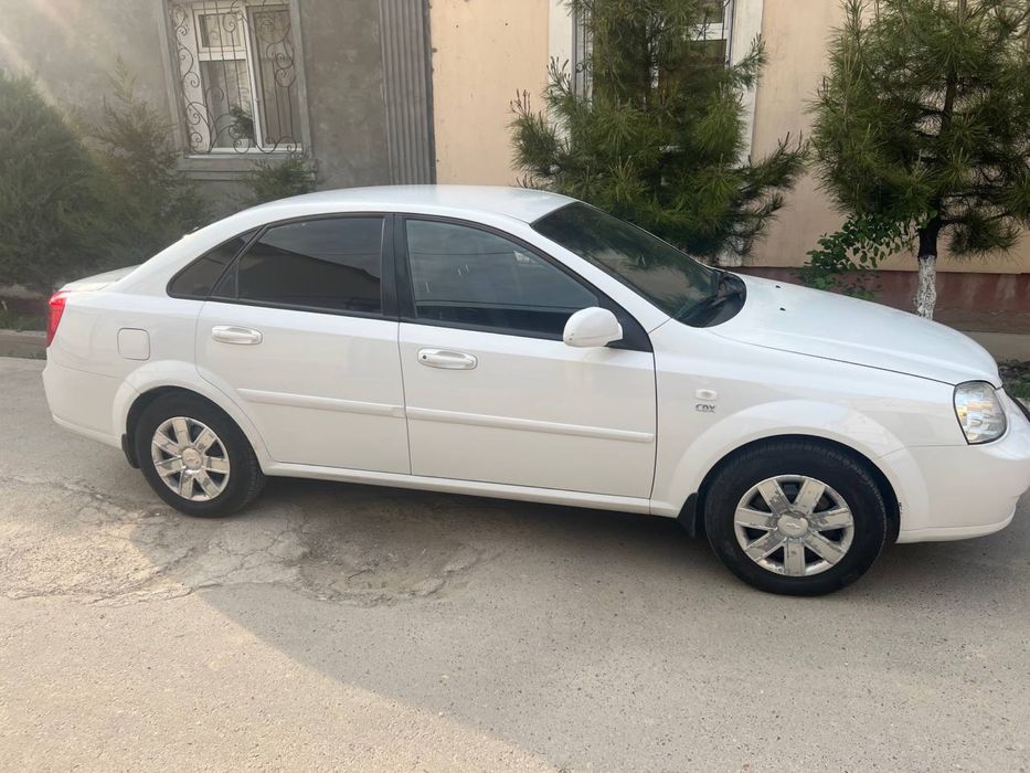 Assalomu aleykum Lassetti 2009 kraska orqa kriloda petno bor