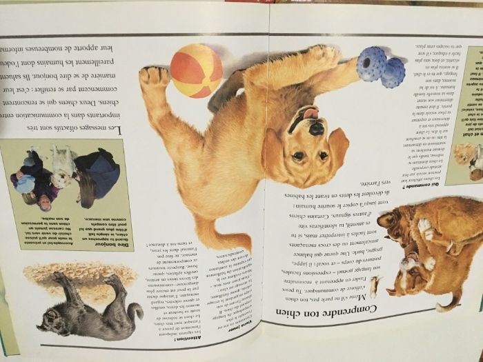 2 детски книжки на френски и английски език Les Chiens кучета