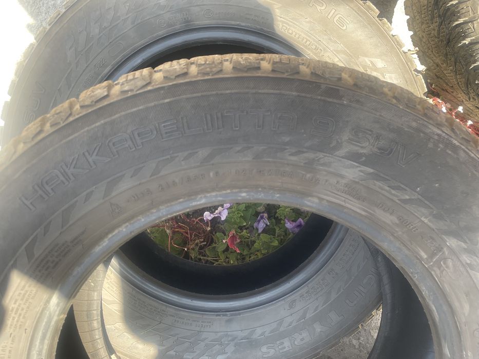 Продам зимние шины шипованные