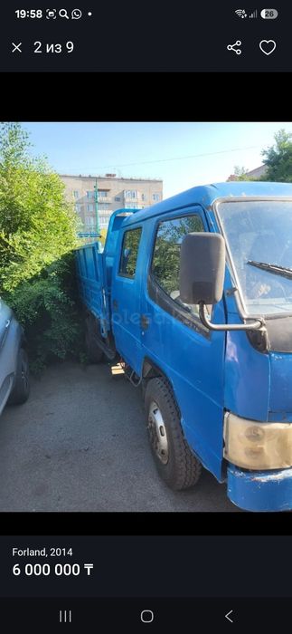 Самасвал китаец 3х тоник