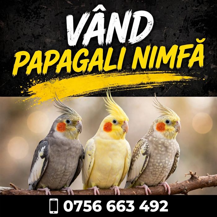 Vand Papagali Nimfa
