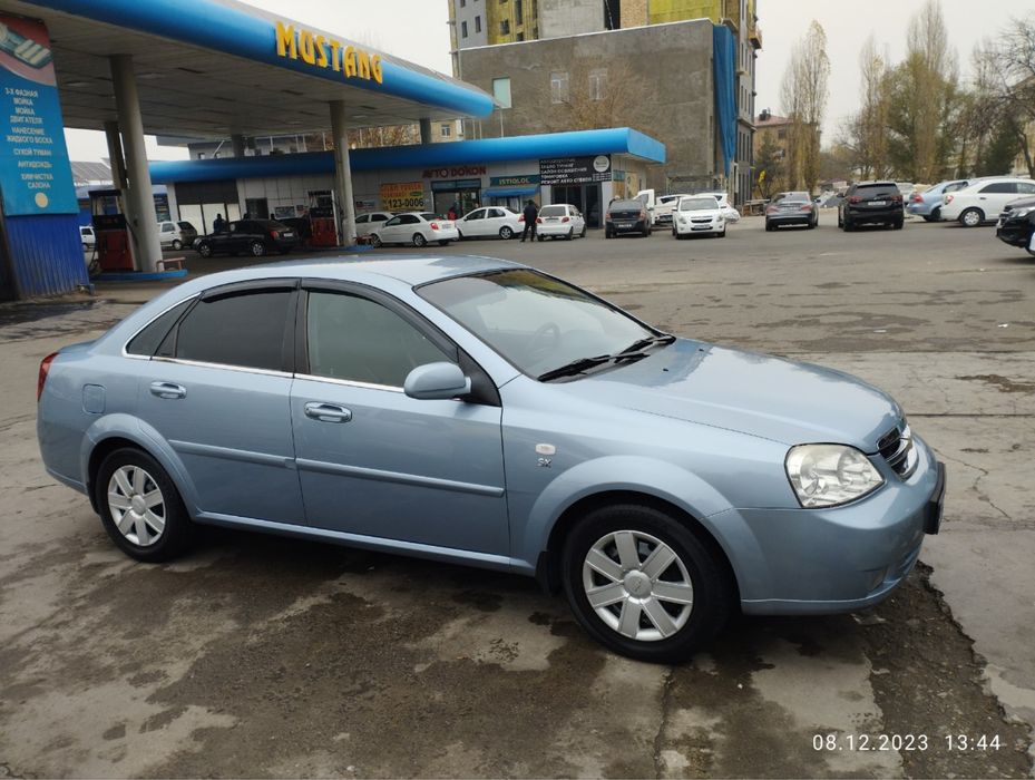 Lasetti 2013 delfin rang