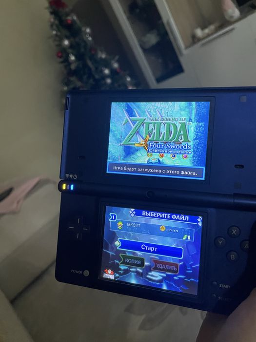 Nintendo dsi charmellion