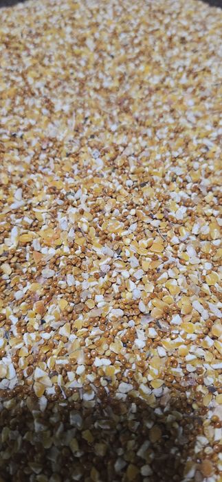 Корма и витамины для бедана