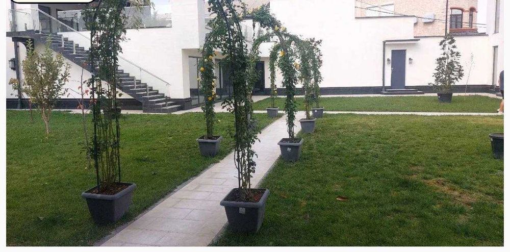 Продажа Евродома на Шуртепе, 15-сотки (N 13292 )
