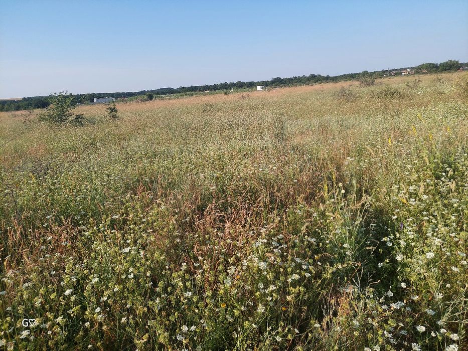 Парцел 10 декара с. Новаково