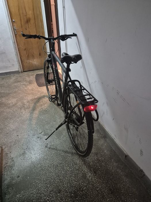 Bicicleta Berner Bergziege - Alfine11