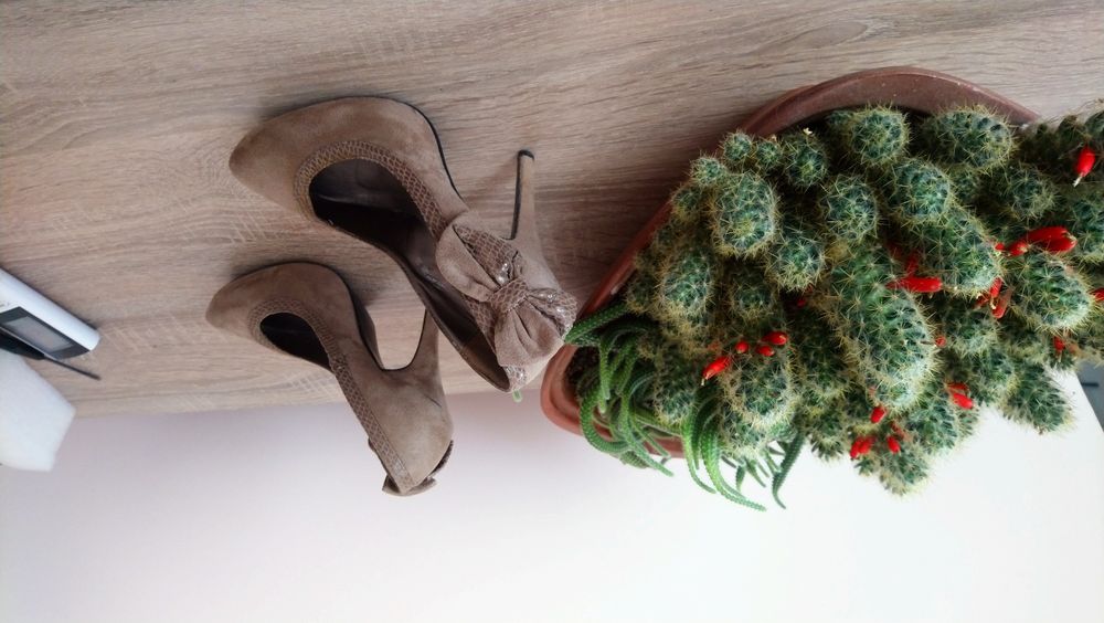 Дамски обувки високи