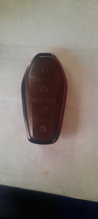 BYDpulti sotiladi