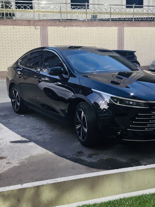 Byd chazor srochna