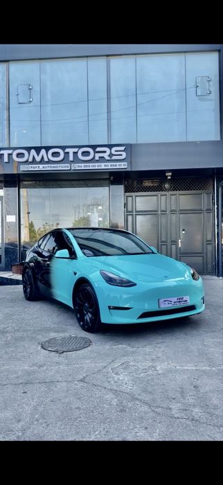 Tesla Model Y Performance