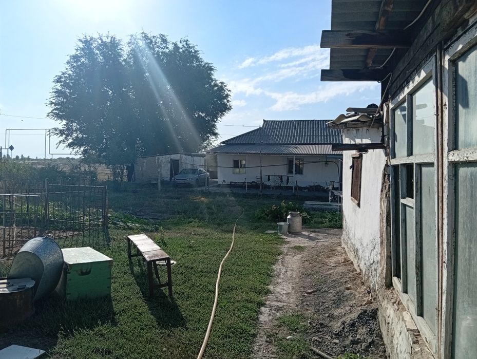 Мойнақ ауылында уй Сатылады