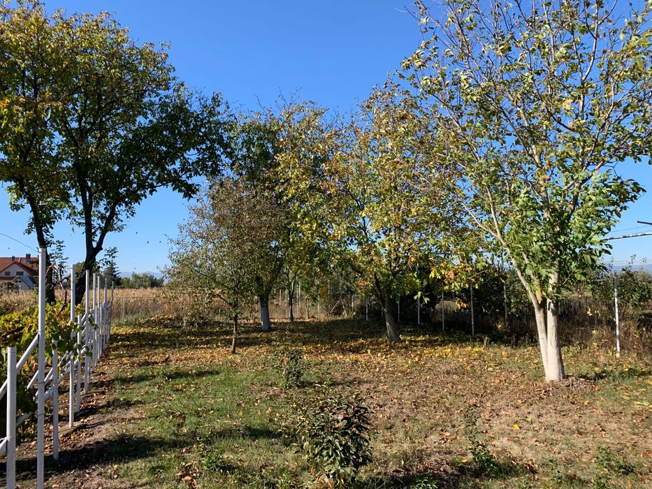 teren și casă bătrânească