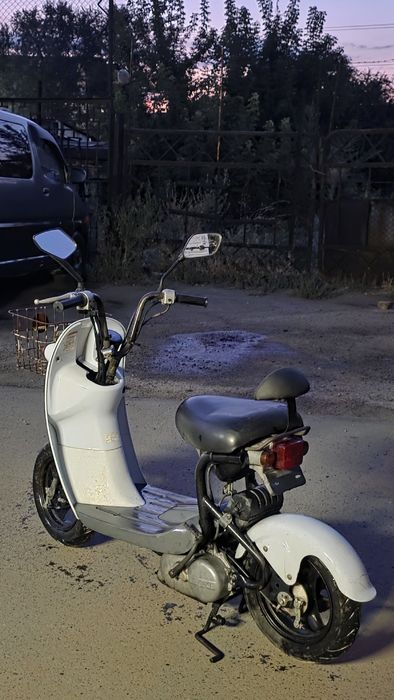 Suzuki choi nori 49