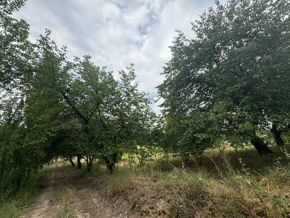 2 .5 gektar boğ baliq hovuzi ham bor