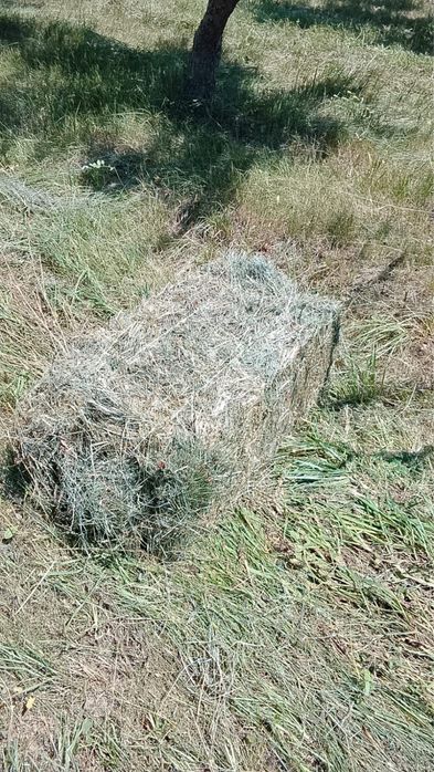 Сено прес с сада