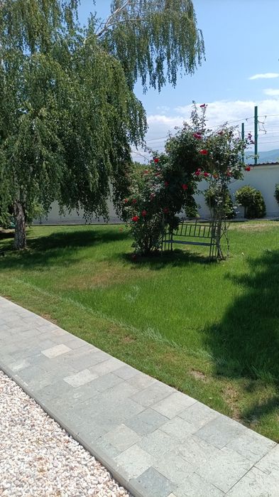 Поддръжка на зелени площи