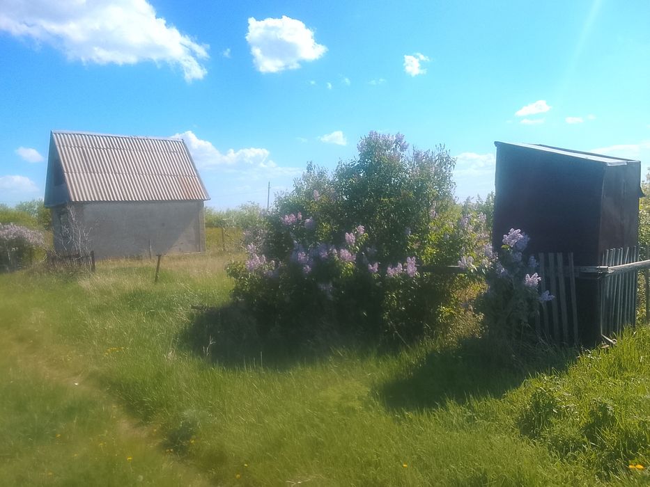 Дача на зерендинском
