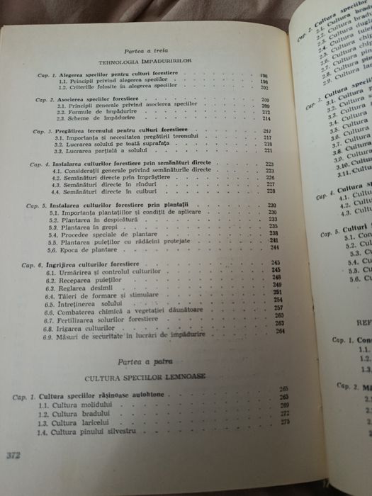 Împăduriri - Ioan Damian