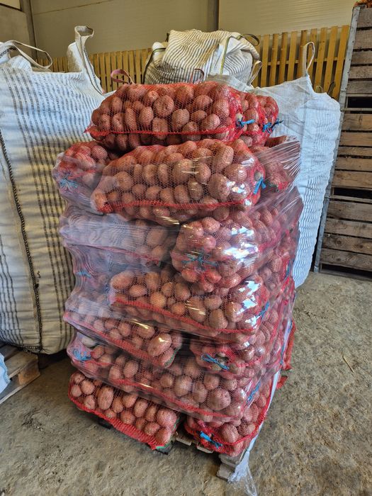 Cartofi consum alb si rosu