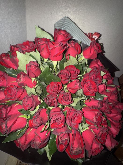 Свежие розы 51 штук