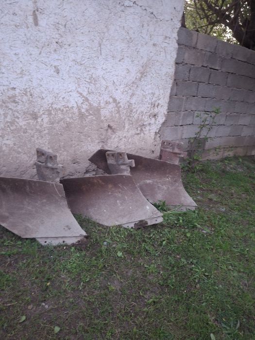 Pulik oyoqlari sotiladi