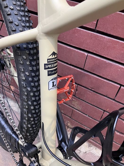 Custom bike 29 boost